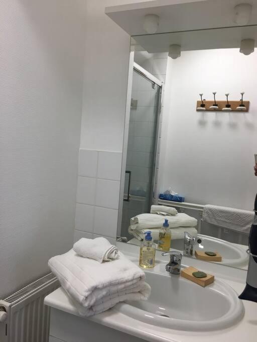 Bel Appartement Climatise Plein Centre Ville ポアティエ エクステリア 写真