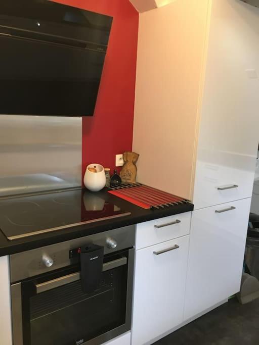 Bel Appartement Climatise Plein Centre Ville ポアティエ エクステリア 写真